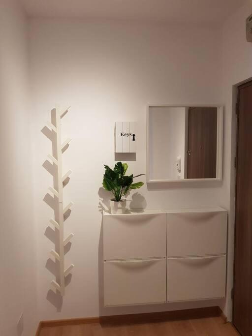 Living City, Apartament Cu Doua Dormitoare シビウ エクステリア 写真